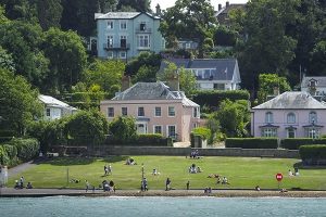 Cowesumbrellatreesmall181215175405