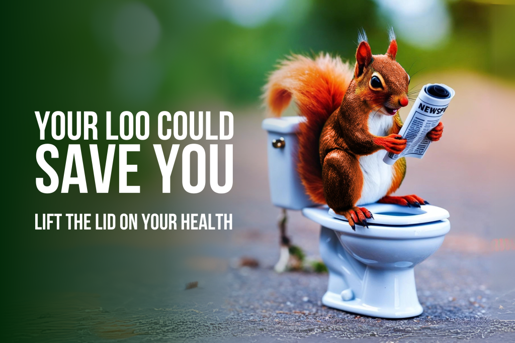 Owhreplacementwebpageimagesquirrelonloo